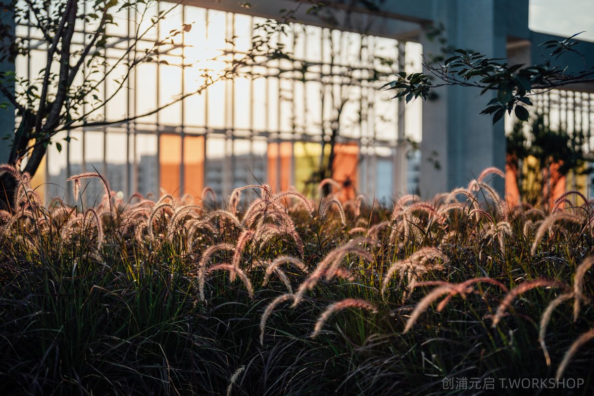 宁波三官堂TOD社区商业-萤集缤虹里景观设计-75-创浦元启